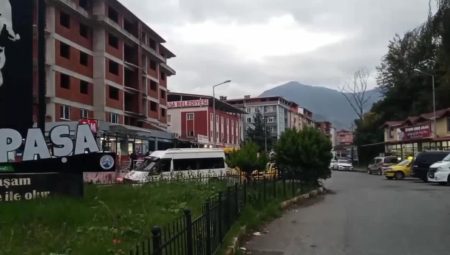 Artvin Kemalpaşa’da Gürcü Yoğunluğu Devam Ediyor